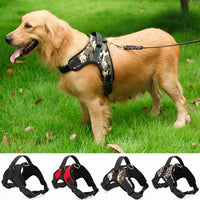 Load image into Gallery viewer, Nylon Heavy Duty Dog Collar

