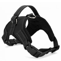 Load image into Gallery viewer, Nylon Heavy Duty Dog Collar
