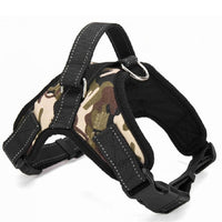 Load image into Gallery viewer, Nylon Heavy Duty Dog Collar
