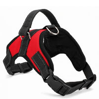 Load image into Gallery viewer, Nylon Heavy Duty Dog Collar
