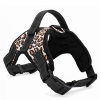 Load image into Gallery viewer, Nylon Heavy Duty Dog Collar

